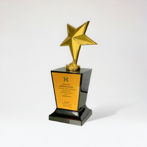 Wood & Metal Trophy WM 9974